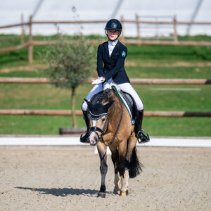 CDI Troisdorf 2023 - autumn
