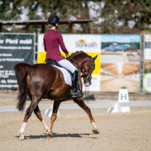 CDI Troisdorf 2023 - autumn