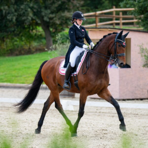 CDI Troisdorf 2023 - autumn