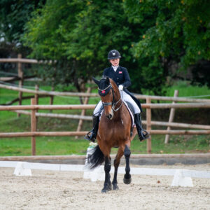 CDI Troisdorf 2023 - autumn