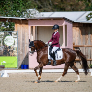 CDI Troisdorf 2023 - autumn