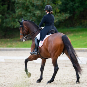 CDI Troisdorf 2023 - autumn