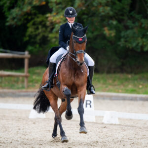 CDI Troisdorf 2023 - autumn