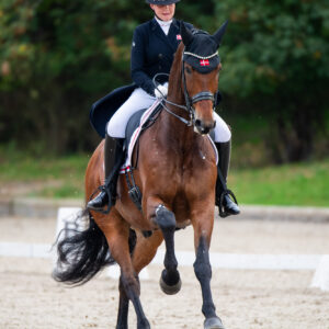 CDI Troisdorf 2023 - autumn