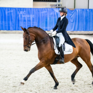 CDI Wroclaw 2023 - autumn