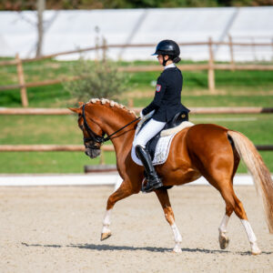 CDI Troisdorf 2023 - autumn