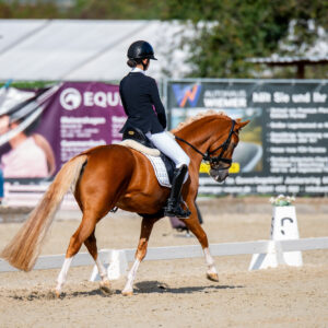 CDI Troisdorf 2023 - autumn