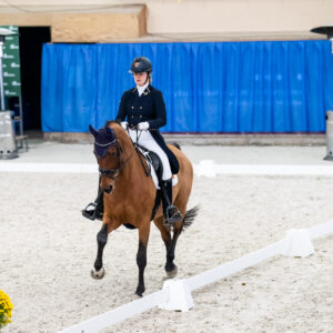 CDI Wroclaw 2023 - autumn