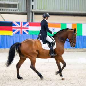 CDI Wroclaw 2023 - autumn