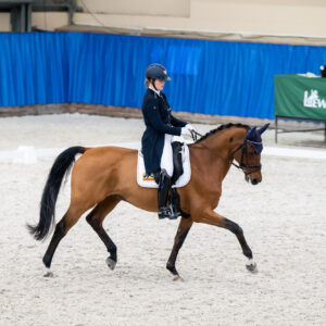CDI Wroclaw 2023 - autumn