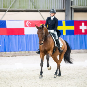 CDI Wroclaw 2023 - autumn