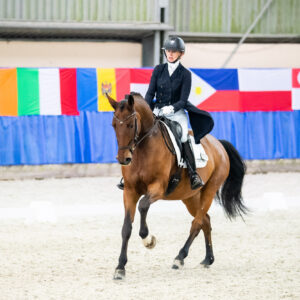 CDI Wroclaw 2023 - autumn