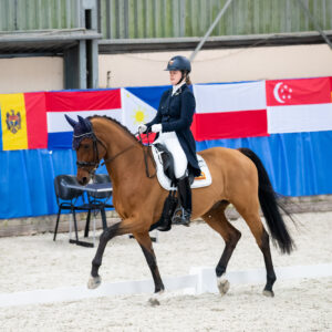 CDI Wroclaw 2023 - autumn