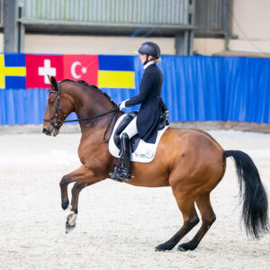 CDI Wroclaw 2023 - autumn