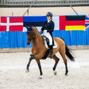 CDI Wroclaw 2023 - autumn