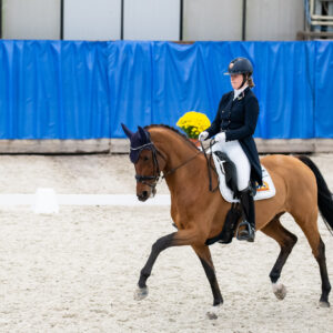 CDI Wroclaw 2023 - autumn