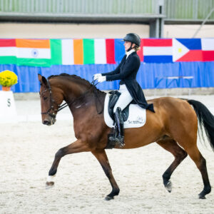 CDI Wroclaw 2023 - autumn