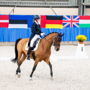 CDI Wroclaw 2023 - autumn