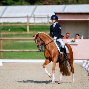 CDI Troisdorf 2023 - autumn