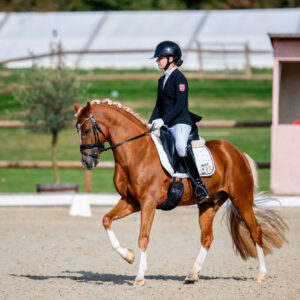 CDI Troisdorf 2023 - autumn