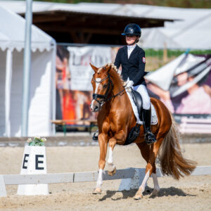 CDI Troisdorf 2023 - autumn