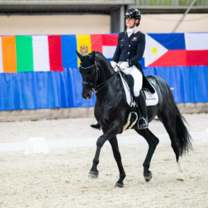 CDI Wroclaw 2023 - autumn