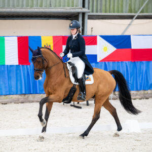 CDI Wroclaw 2023 - autumn