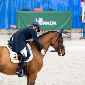 CDI Wroclaw 2023 - autumn