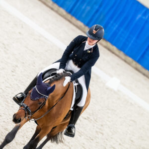 CDI Wroclaw 2023 - autumn