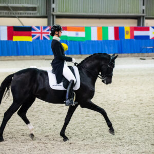 CDI Wroclaw 2023 - autumn