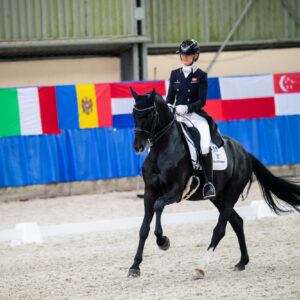 CDI Wroclaw 2023 - autumn