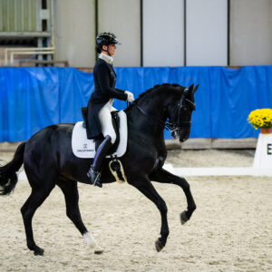 CDI Wroclaw 2023 - autumn
