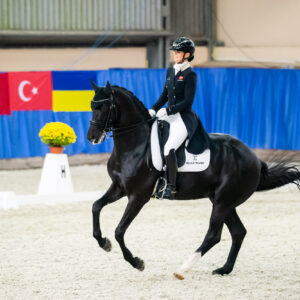CDI Wroclaw 2023 - autumn
