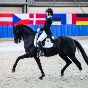 CDI Wroclaw 2023 - autumn