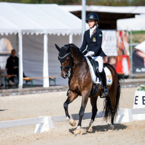 CDI Troisdorf 2023 - autumn