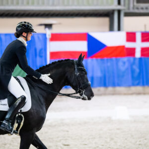 CDI Wroclaw 2023 - autumn