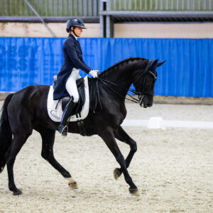 CDI Wroclaw 2023 - autumn