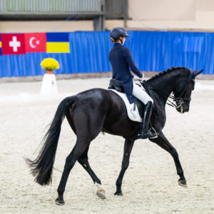 CDI Wroclaw 2023 - autumn