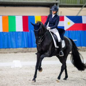 CDI Wroclaw 2023 - autumn