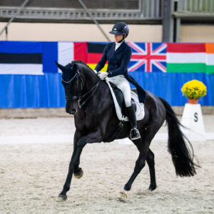 CDI Wroclaw 2023 - autumn