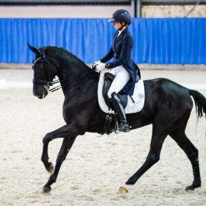 CDI Wroclaw 2023 - autumn