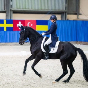 CDI Wroclaw 2023 - autumn