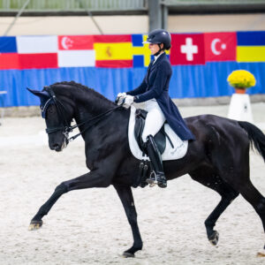 CDI Wroclaw 2023 - autumn