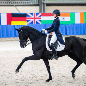 CDI Wroclaw 2023 - autumn