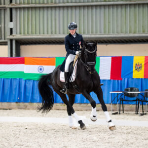 CDI Wroclaw 2023 - autumn