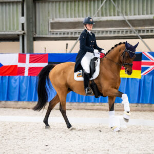 CDI Wroclaw 2023 - autumn