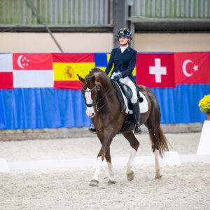 CDI Wroclaw 2023 - autumn