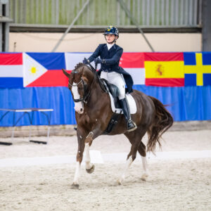 CDI Wroclaw 2023 - autumn