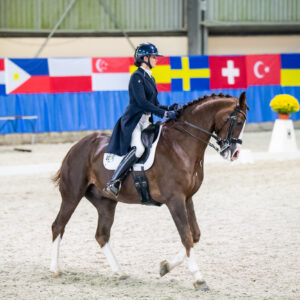 CDI Wroclaw 2023 - autumn