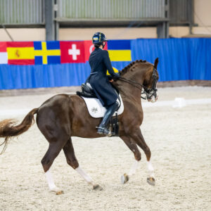 CDI Wroclaw 2023 - autumn